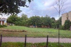 IMG_3852