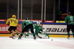 IMG_4779