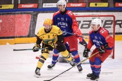 IMG_0061