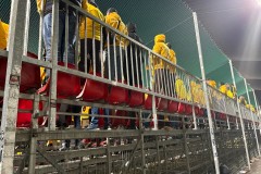 IMG_6169