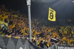 KH2_3531
