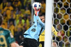 GKSPOG_82