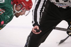 IMG_0845