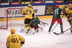 IMG_0868
