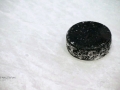 image003