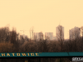 IMG_9427_wynik