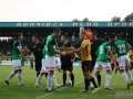 obraz (11)