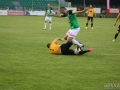 obraz (14)