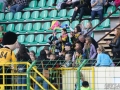 obraz (16)
