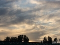 obraz (18)