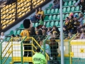 obraz (19)