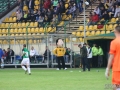 obraz (29)