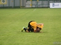 obraz (30)