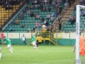 obraz (31)