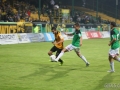 obraz (33)