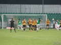 obraz (35)