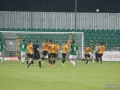 obraz (36)