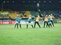 obraz (39)