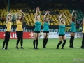 obraz (40)
