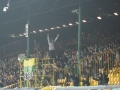obraz (42)