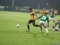 obraz (44)