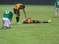 obraz (48)