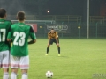 obraz (51)