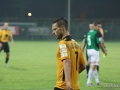 obraz (52)