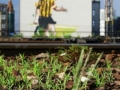 P1060040_wynikmural