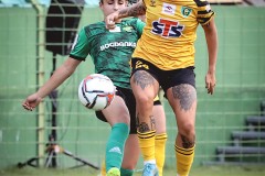 IMG_0139-1