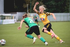IMG_0185