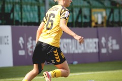 IMG_0187-4