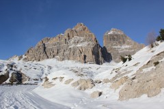 IMG_3684