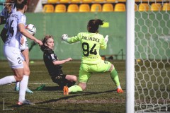 IMG_0101-4