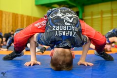 2024_04_06_Zapasy_Mistrzostwa_Slaska_GKS_ZUKS_Katwice_autor_Artur_Stanczyk_021