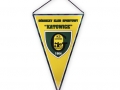 Propoprczyk_GKS_Katowice