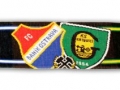 Szal_GKS_FCB_rewers kopia