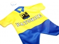 Mini_koszulka_Katowice