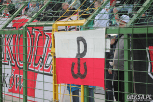 LUPACRACOVIA2